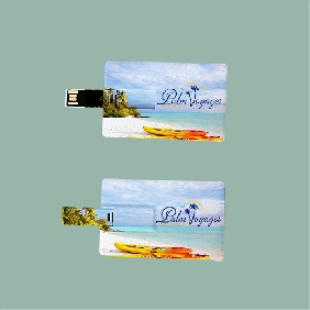 Credit Card Shaped USB Drive（MS163CD）