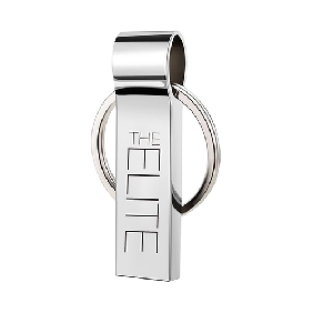 Metal Flash Drive with Keychain(MS425MT)