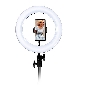 10" Selfie Ring Light with Tripod Stand & Cell Phone Holder(...