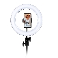 10" Selfie Ring Light with Tripod Stand & Cell Phone Holder(HD123)-[Newest Price]