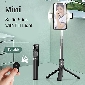 Wholesale Portable Selfie Stick with Fill Light(HG121)