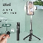 Portable Selfie Stick with Fill Light(HG121)